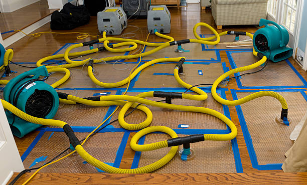 Professional Basement Flood Cleanup technician working in Otsego, MN